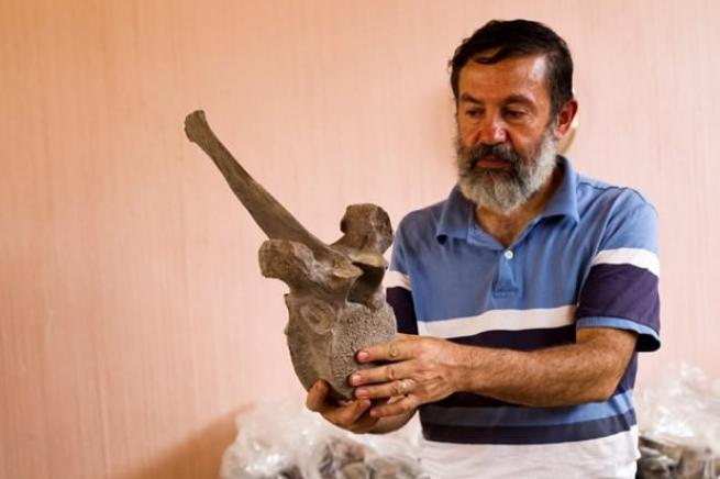 Meksika'da 14 bin yıllık mamut fosili bulundu 11