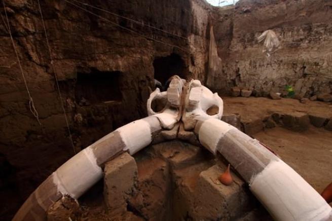 Meksika'da 14 bin yıllık mamut fosili bulundu 12