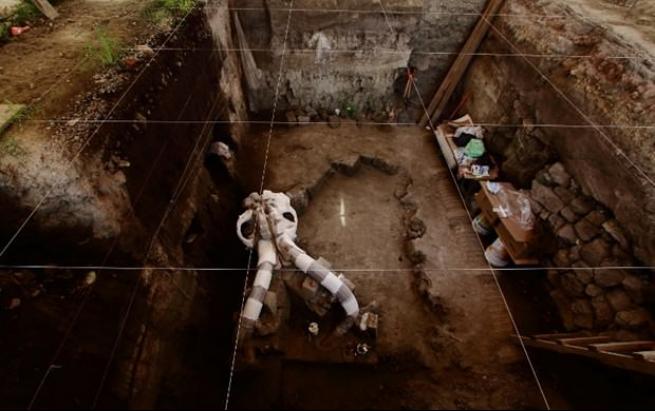 Meksika'da 14 bin yıllık mamut fosili bulundu 4