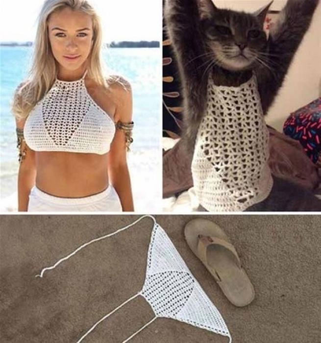 Gelen ürünlerle şok oldular 10