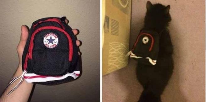 Gelen ürünlerle şok oldular 3