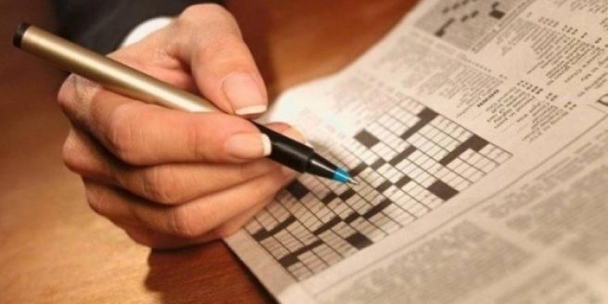 Bir haftada IQ'nuzu yüzde 40 arttırın