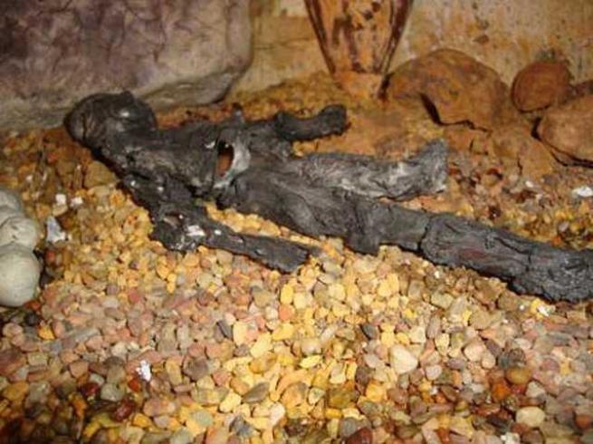 Çinlilerin bitmek bilmeyen Türk korkusu! İşte Çin'in gizlediği 3 bin yıl 12