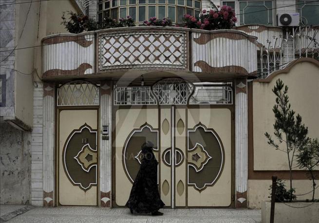 Asya'nın kalbi Afganistan'da doğal yaşam 10