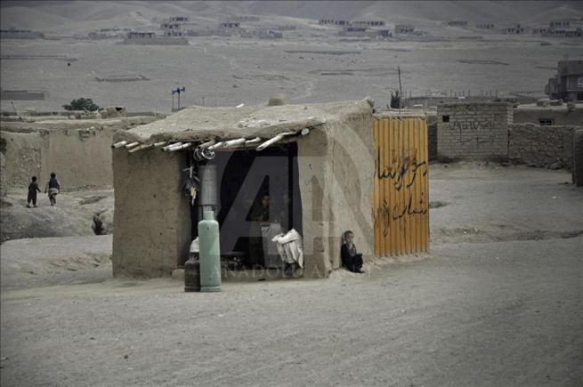 Asya'nın kalbi Afganistan'da doğal yaşam 2