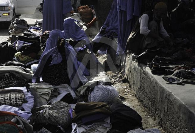 Asya'nın kalbi Afganistan'da doğal yaşam 6