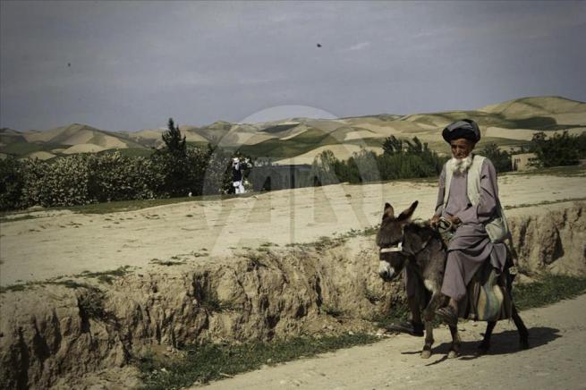 Asya'nın kalbi Afganistan'da doğal yaşam 8