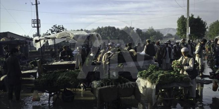 Asya'nın kalbi Afganistan'da doğal yaşam