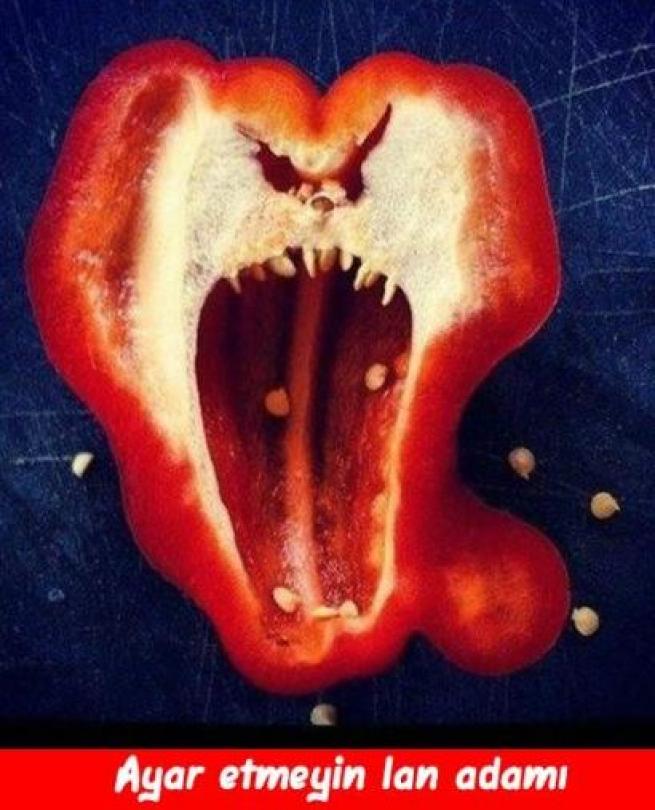 Meyveler Sebzeler Dile geldi! 10