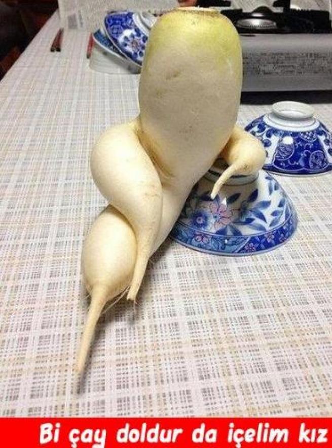 Meyveler Sebzeler Dile geldi! 11