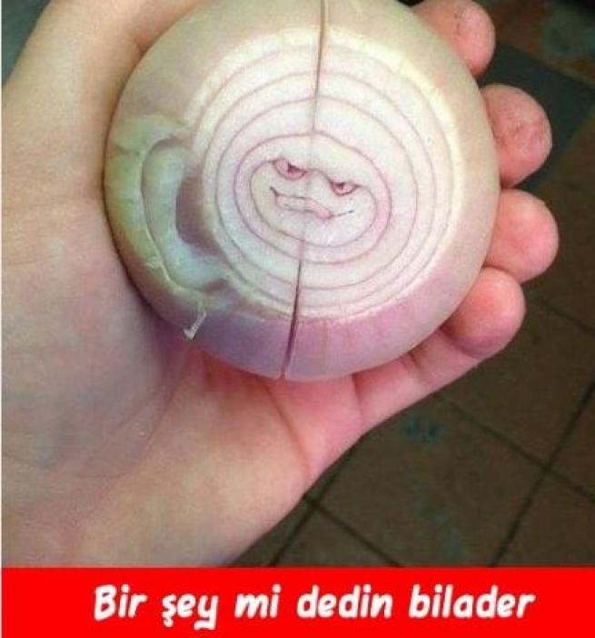 Meyveler Sebzeler Dile geldi! 13