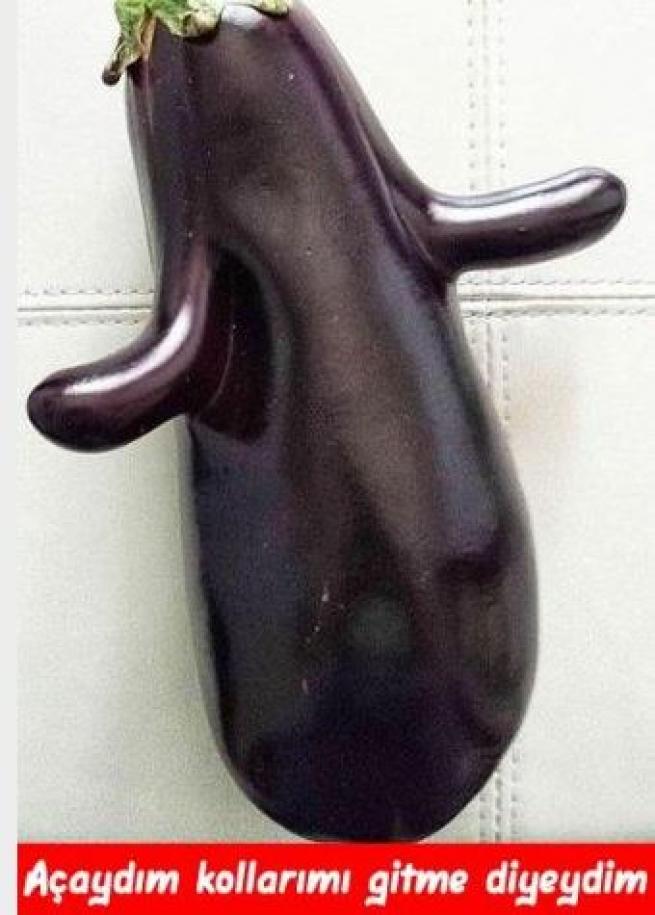 Meyveler Sebzeler Dile geldi! 14