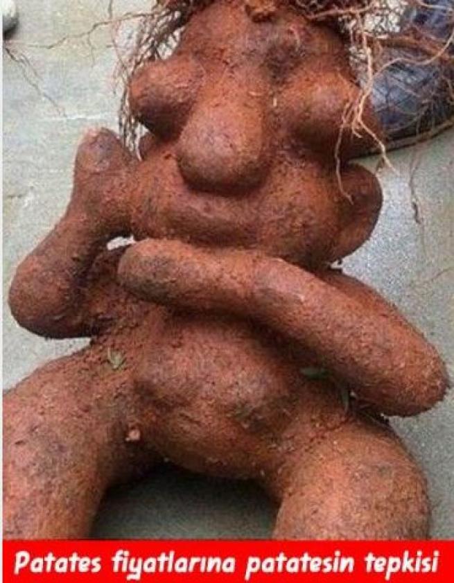 Meyveler Sebzeler Dile geldi! 16