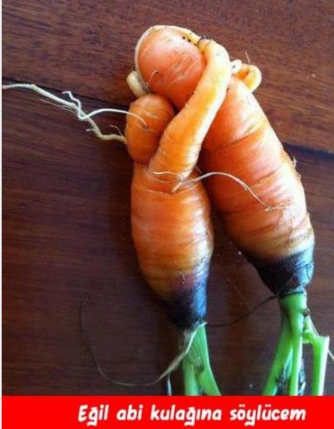 Meyveler Sebzeler Dile geldi! 17