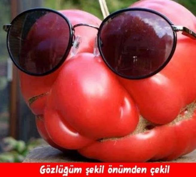 Meyveler Sebzeler Dile geldi! 18