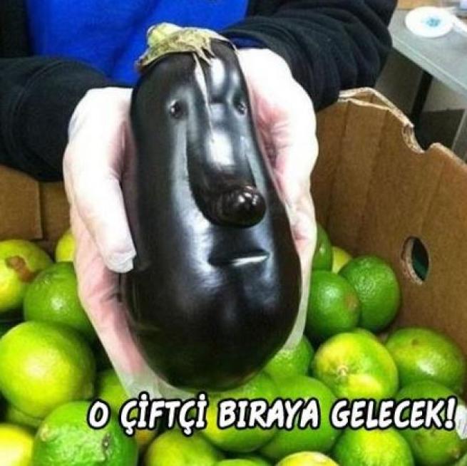 Meyveler Sebzeler Dile geldi! 3