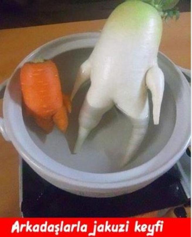 Meyveler Sebzeler Dile geldi! 4