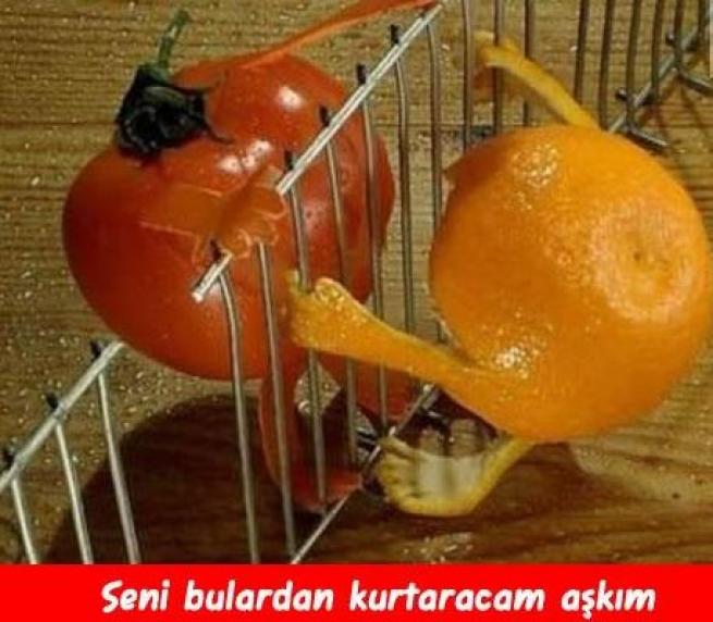 Meyveler Sebzeler Dile geldi! 5