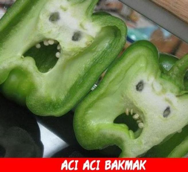 Meyveler Sebzeler Dile geldi! 6