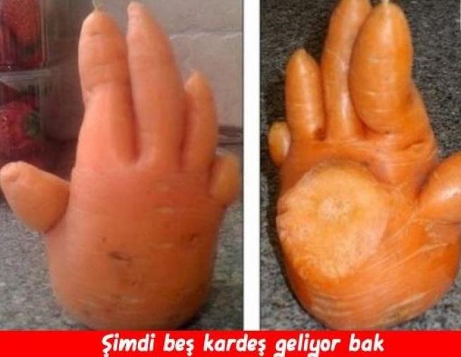 Meyveler Sebzeler Dile geldi! 8