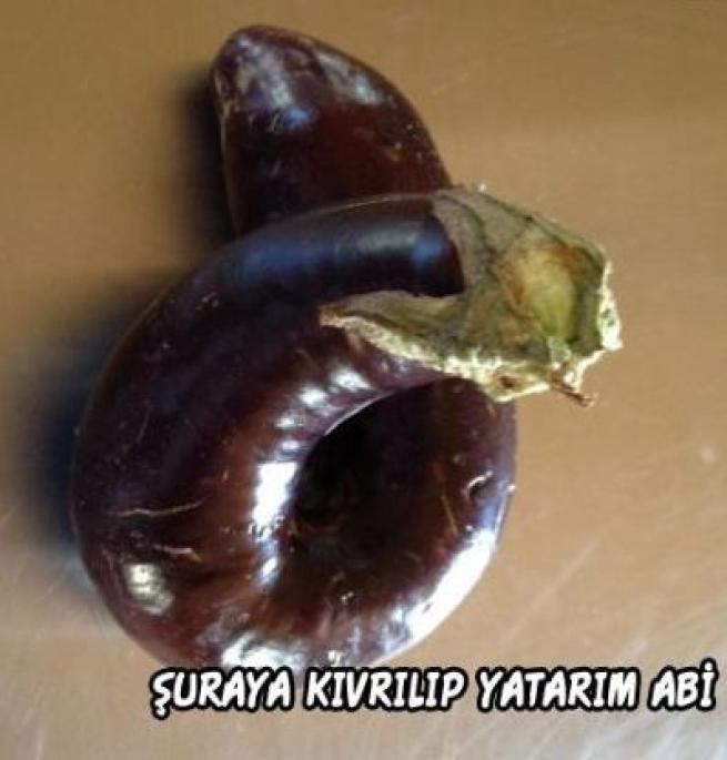 Meyveler Sebzeler Dile geldi! 9