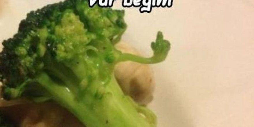 Meyveler Sebzeler Dile geldi!
