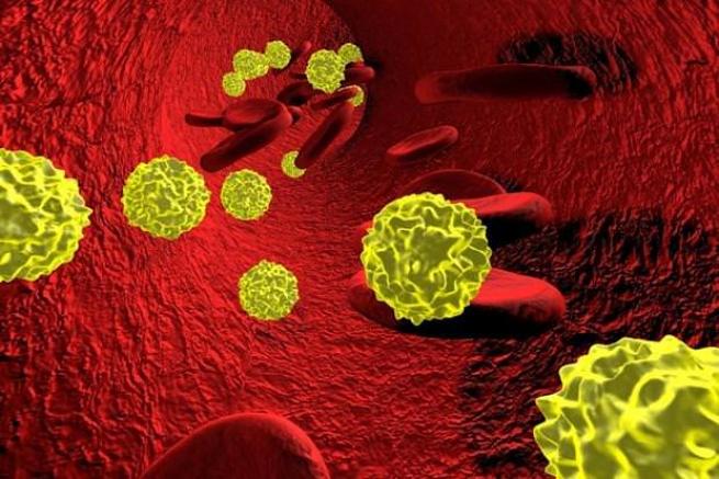 Hepatit virüsünden korunmanın yolları 10
