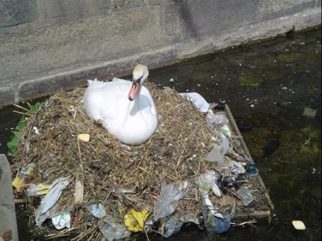 Çevre kirliliğini yansıtan gerçek fotoğraflar 16