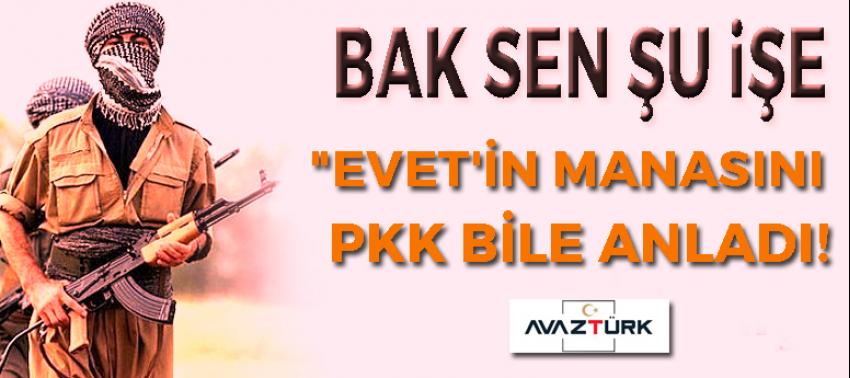 Bak sen bu işe! "Evet'in manasını pkk bile anladı