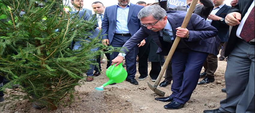 Pursaklar’da ağaçlandırma seferberliği sürüyor