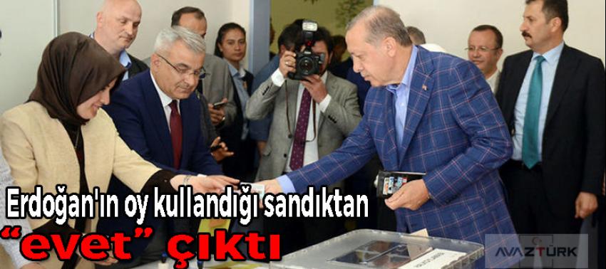Erdoğan'ın oy kullandığı sandıktan  “evet” çıktı!