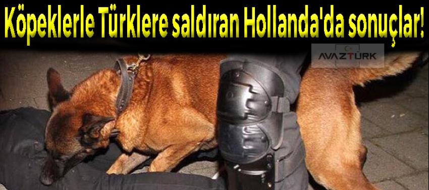 Köpeklerle Türklere saldıran Hollanda'da sonuçlar!