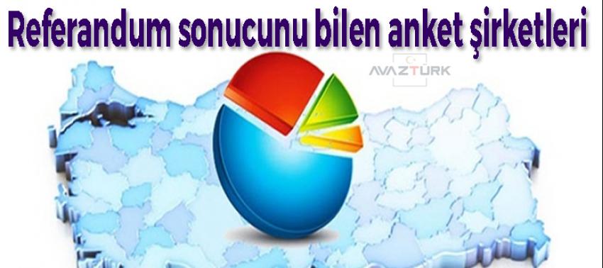 Referandum sonucunu doğru bilen anket şirketleri!