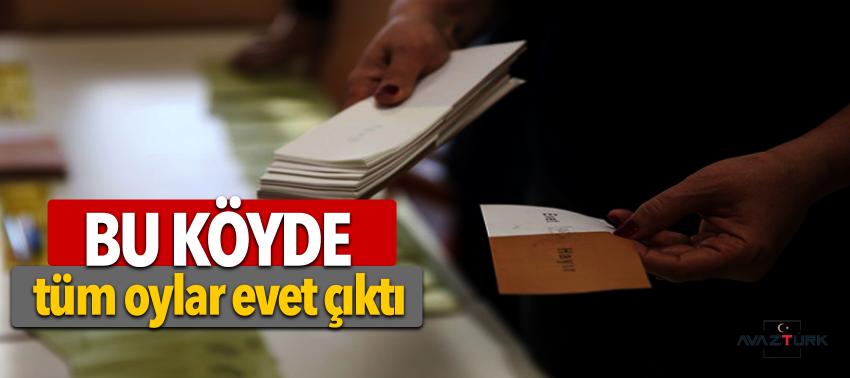 Bu köyde tüm oylar evet çıktı