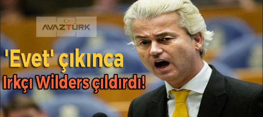 'Evet' çıkınca Irkçı Wilders çıldırdı!