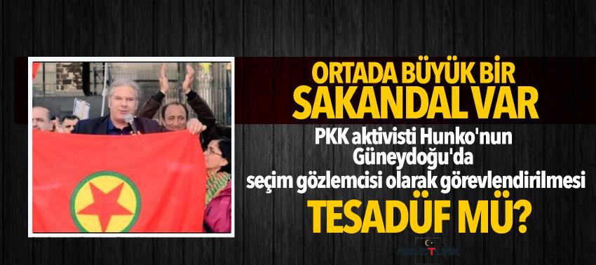 AGİT gözlemcisi PKK'lı çıktı