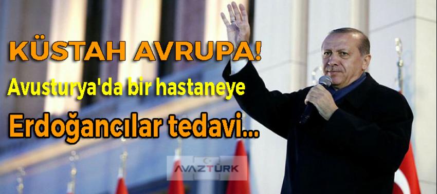 Avrupa Erdoğan'a karşı yine hortladı!