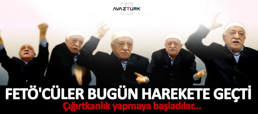 FETÖ'cü hesaplar harekete geçti
