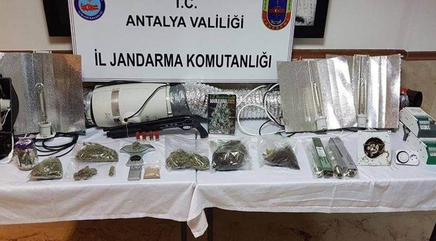 Apartman dairesinde uyuşturucu için sera kurdular!
