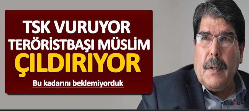 TSK vuruyor, Teröristbaşı Müslim çılgına dönüyor...