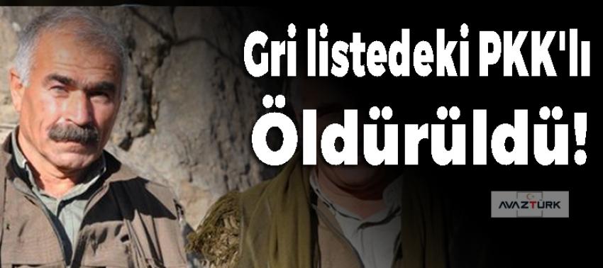 Gri listedeki PKK'lı bombardımanda öldürüldü!