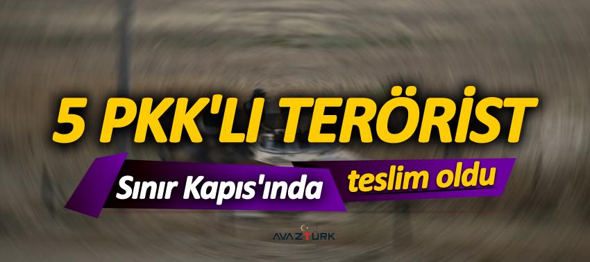 5 PKK'lı terörist teslim oldu