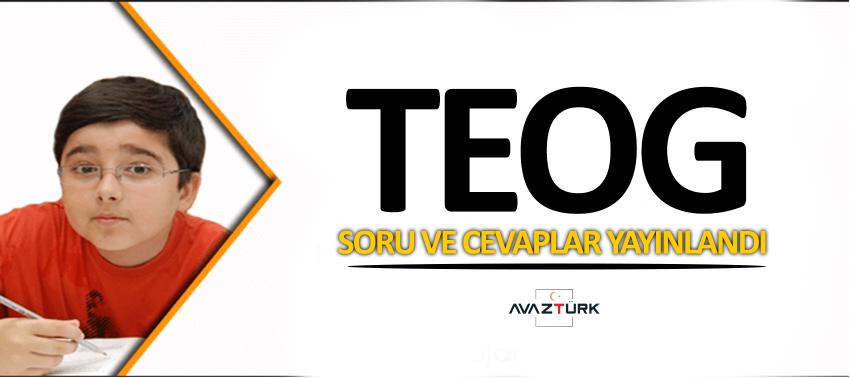 TEOG soruları ve cevapları