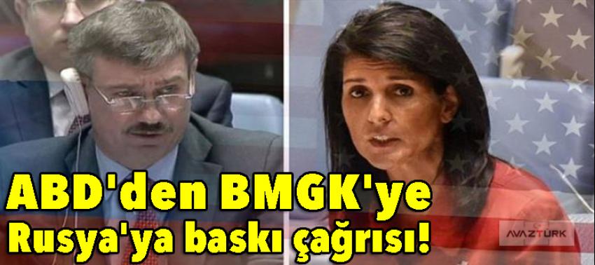 ABD'den BMGK'ye Rusya'ya baskı çağrısı!