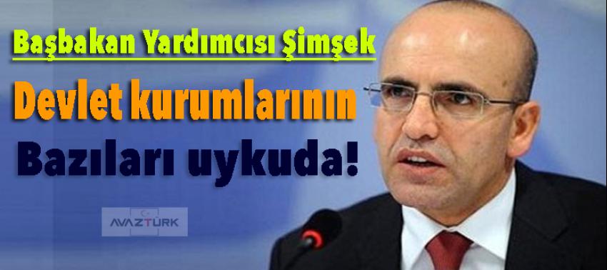 Şimşek: Devlet kurumlarının bazıları uykuda