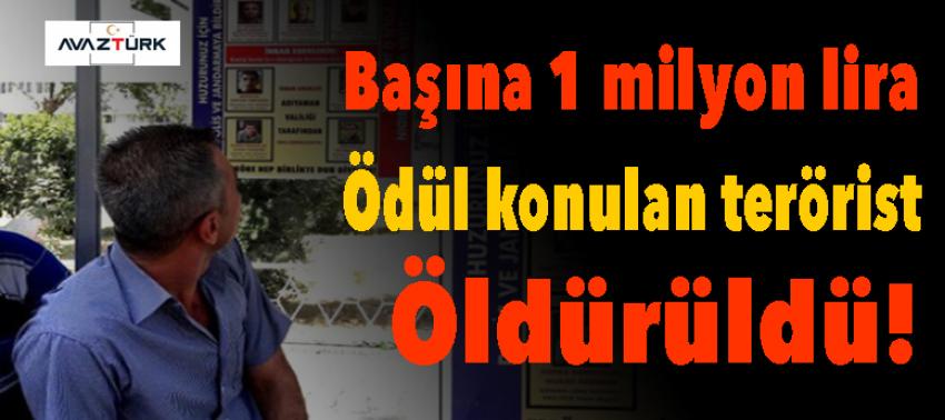 Başına 1 milyon lira ödül konulan terörist öldürüldü!