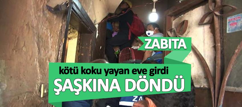 Beyoğlu'nda kötü koku yayan eve giren zabıta şaşkına döndü