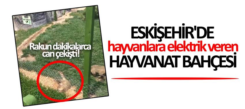 Eskişehir'de hayvanlara elektrik veren hayvanat bahçesi