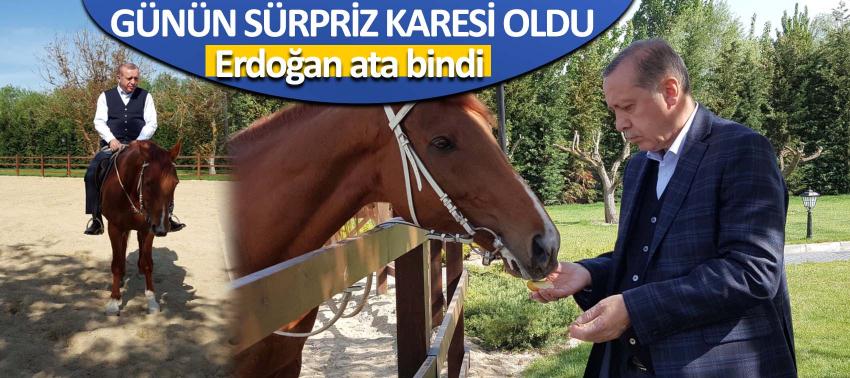 Cumhurbaşkanı Erdoğan ata bindi! Danışmanı o not ile paylaştı...