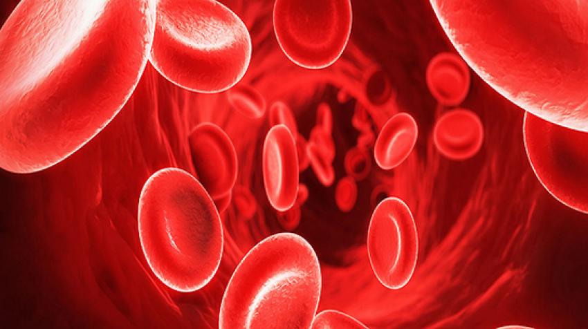 Talasemi hastalığı nedir? Belirtileri nelerdir?